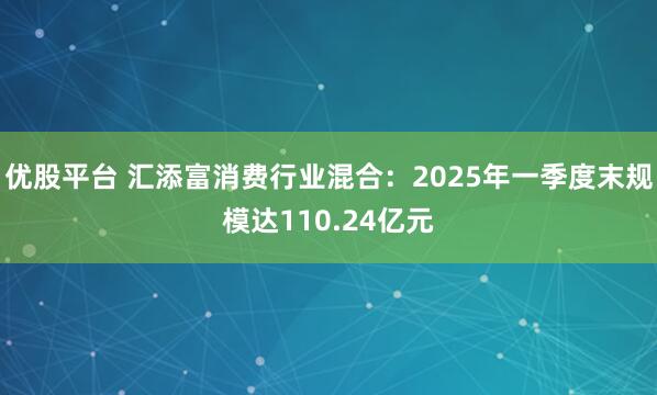 优股平台 汇添富消费行业混合：2025年一季度末规模达110.24亿元